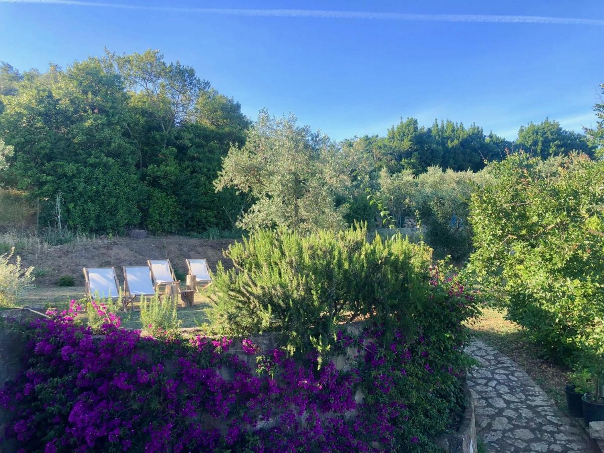 Bed and Breakfast Nostos Casale SantʼAgata sui Due Golfi Exterior foto