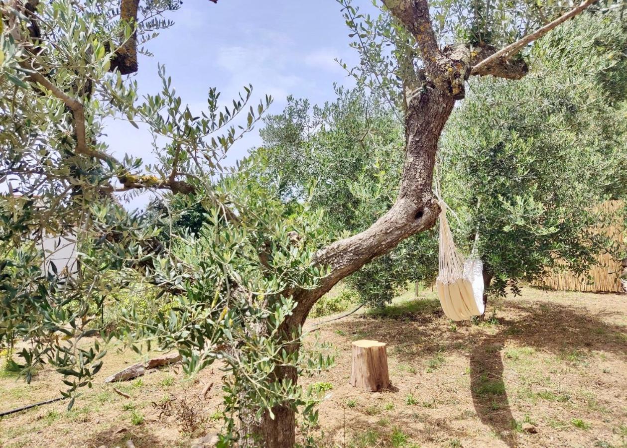 Bed and Breakfast Nostos Casale SantʼAgata sui Due Golfi Exterior foto