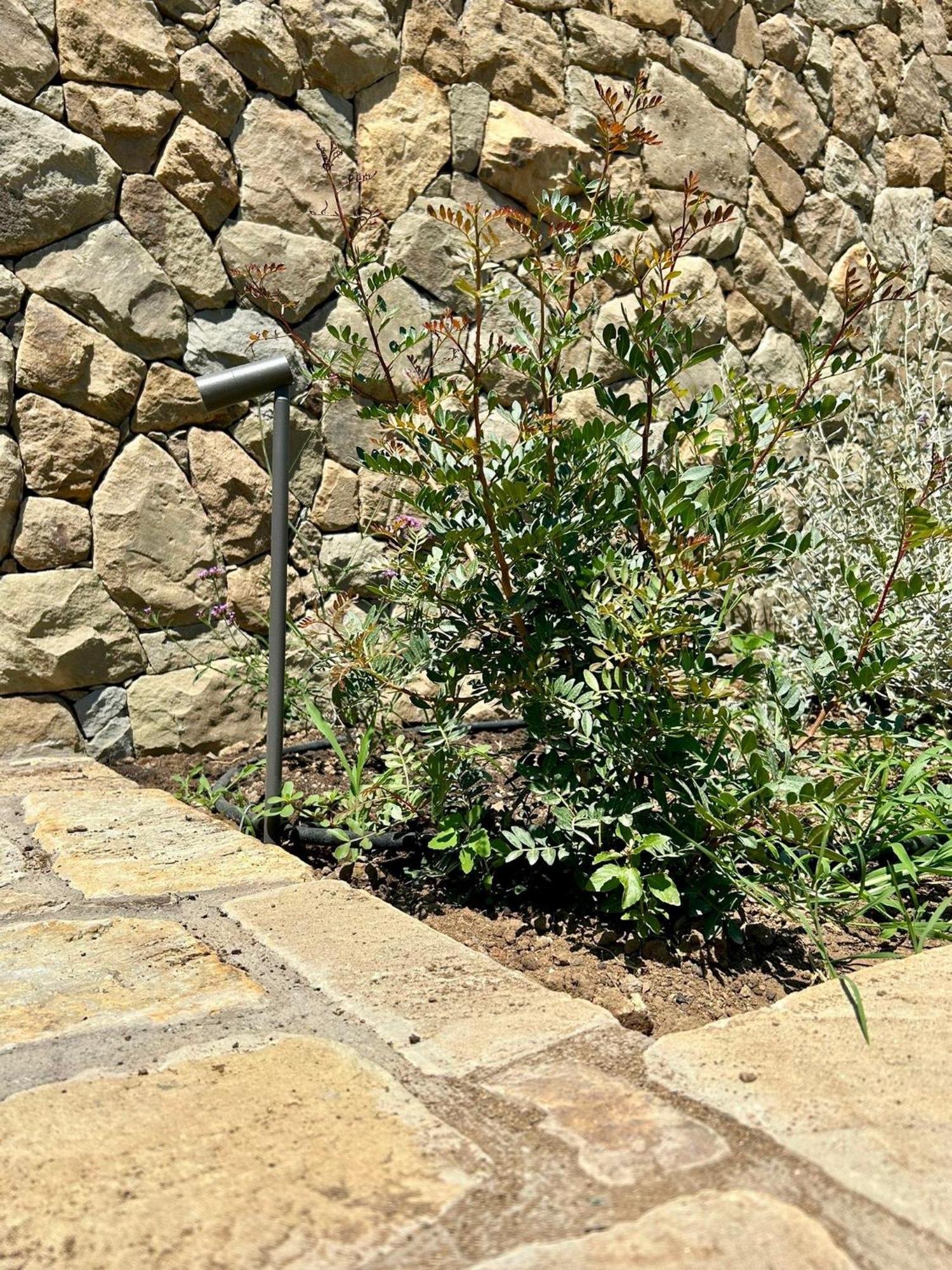 Bed and Breakfast Nostos Casale SantʼAgata sui Due Golfi Exterior foto